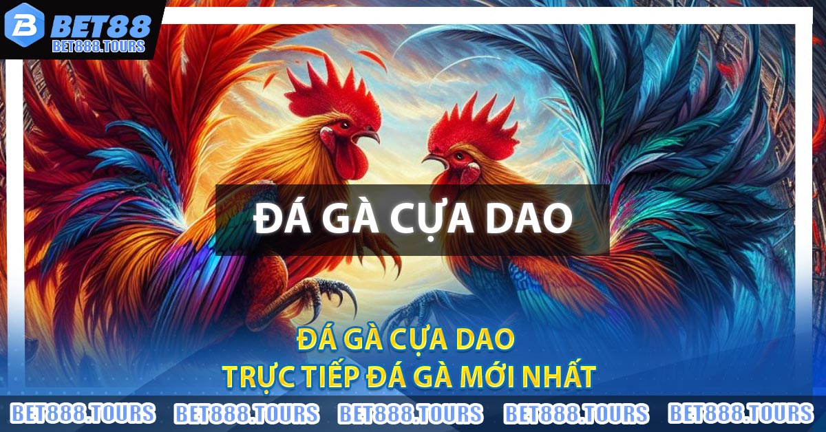 Đá Gà Cựa Dao - Trực Tiếp Đá Gà Mới Nhất